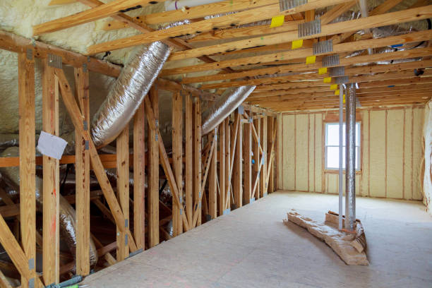 Insulation Replacement Services in Clio, AL